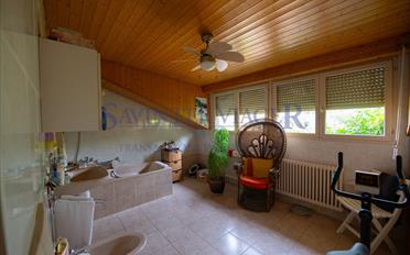 Single house 5 rooms - image - 7