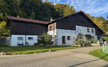 Single house 11 rooms - image - 1