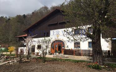 Single house 11 rooms - image - 8