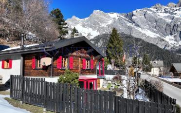 Chalet 6 pièces - image - 2