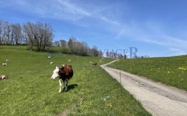 Appartement 5.5 pièces - image - 5