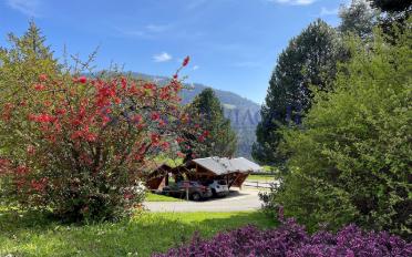 Appartement 5.5 pièces - image - 4