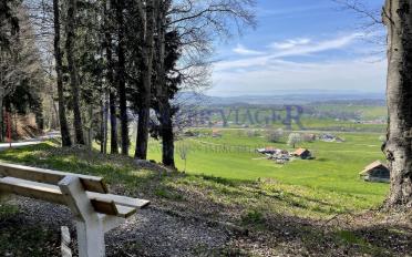 Appartement 5.5 pièces - image - 2