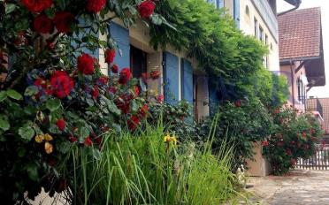 Apartment 9.5 rooms - image - 2