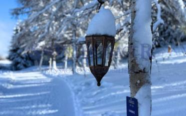 Wohnung 3.5 Zimmer - image - 6