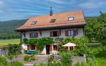 Einfamilienhaus 8 Zimmer - image - 4