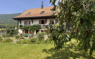 Einfamilienhaus 8 Zimmer - image - 2