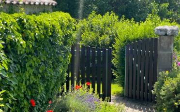 Einfamilienhaus 8 Zimmer - image - 3