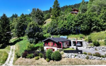 Chalet 6 pièces - image - 1