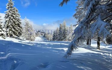 Apartment 3.5 rooms - image - 1