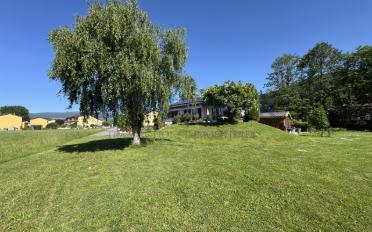 Einfamilienhaus 6 Zimmer - image - 5