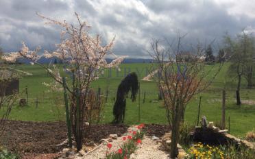Einfamilienhaus 11 Zimmer - image - 9
