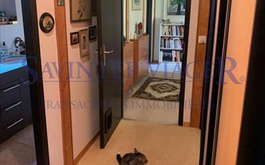 Single house - image - 7