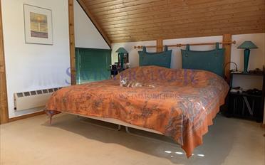 Single house - image - 10