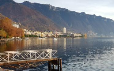 Appartement 5.5 pièces - image - 7