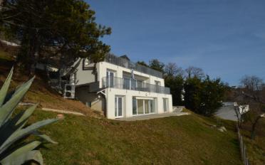 Terrassenwohnung 2.5 Zimmer - image - 1