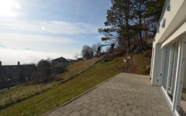 Terrassenwohnung 2.5 Zimmer - image - 3