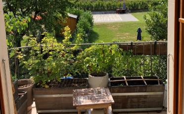 Apartment - image - 6
