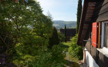 Terrace flat 4 rooms - image - 13