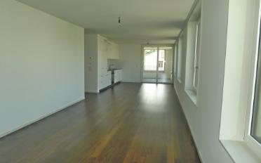 Wohnung 2.5 Zimmer - image - 2