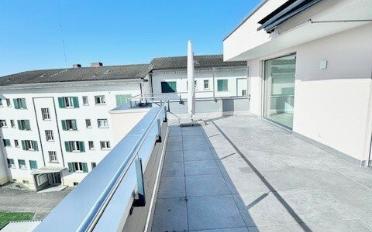 Wohnung 3.5 Zimmer - image - 9
