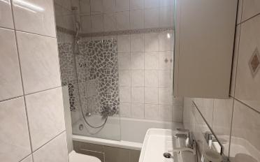 Appartement 1.5 pièces - image - 2