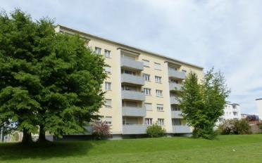 Wohnung 2.5 Zimmer - image - 1
