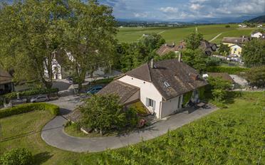 Maison - image - 6