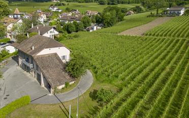 Maison - image - 5