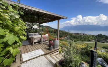 Villa 7 Zimmer - image - 8