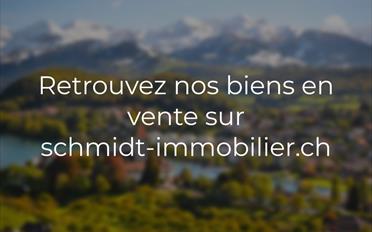 Immeuble mixte - image - 2