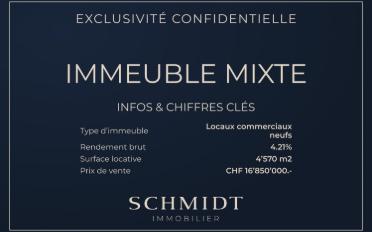 Immeuble mixte - image - 1
