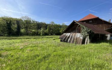 Farm house 3.5 rooms - image - 2