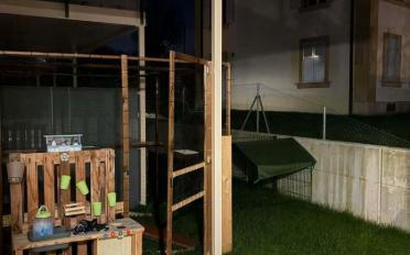 Wohnung 3.5 Zimmer - image - 4