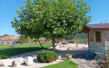 Einfamilienhaus 6 Zimmer - image - 10