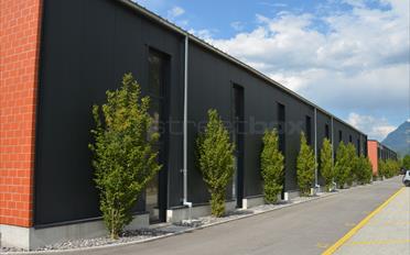 Commercial - image - 2