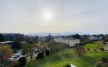 Attique 4.5 pièces - image - 11