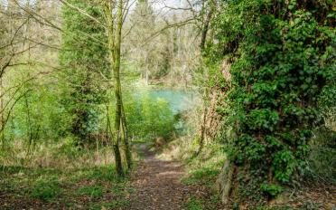 Maison contiguë 7 pièces - image - 9