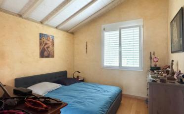 Single house 9 rooms - image - 13