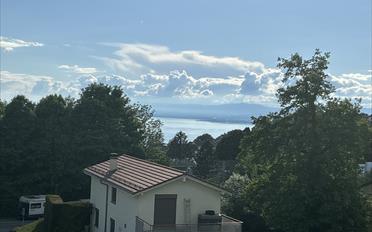 Villa 7.5 Zimmer - image - 7