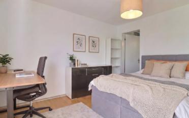 Wohnung 4.5 Zimmer - image - 5