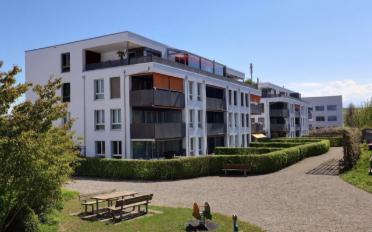 Wohnung 3.5 Zimmer - image - 1