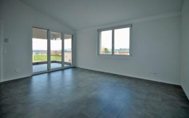 Wohnung 2.5 Zimmer - image - 3