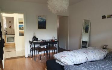 Apartment 1.5 rooms - image - 1