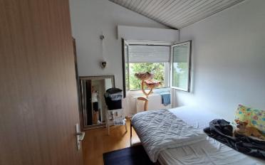 Wohnung 4 Zimmer - image - 6