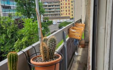 Apartment 3 rooms - image - 8