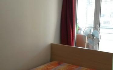 Wohnung 2.5 Zimmer - image - 3