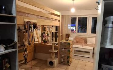 Apartment 1 room - image - 2