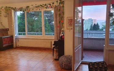 Wohnung 5.5 Zimmer - image - 5