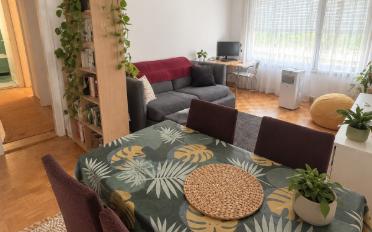 Apartment 2.5 rooms - image - 1